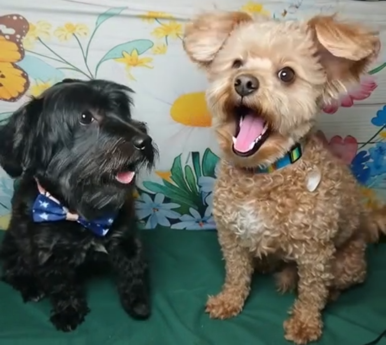 About Cole and Riley